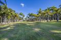 Property photo of 98 Tramway Drive Woolgoolga NSW 2456