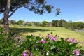 Property photo of 58 Hanks Street Ashbury NSW 2193