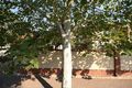 Property photo of 8/2A Deepdene Avenue Westbourne Park SA 5041