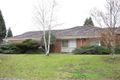 Property photo of 15 Robertswood Close Doncaster East VIC 3109