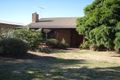 Property photo of 3 Petras Street Tanunda SA 5352