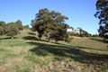 Property photo of 9 Sunnymeade Place Mudgeeraba QLD 4213