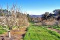 Property photo of 41 Narrows Road Strathblane TAS 7109