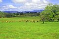 Property photo of 236 Ball Road Peeramon QLD 4885