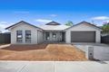 Property photo of 104 Warrah Drive Calala NSW 2340