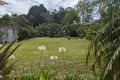 Property photo of 12 Caparra Close Tinonee NSW 2430