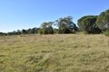 Property photo of 14 Lake View Crescent Raymond Terrace NSW 2324
