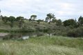 Property photo of 470 Goldfields Road Amiens QLD 4380