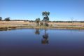 Property photo of 2511 Old Cootamundra Road Dirnaseer NSW 2666