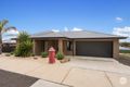 Property photo of 25 Ashbourne Way Kangaroo Flat VIC 3555