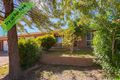 Property photo of 13 Ringrose Crescent Isaacs ACT 2607