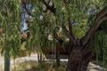 Property photo of 14 Homewood Street Cloverdale WA 6105