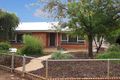 Property photo of 8 Tipper Street Berri SA 5343