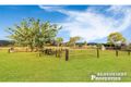 Property photo of 1087 Kerry Road Kerry QLD 4285