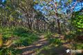 Property photo of 48 Churchill Road Padstow Heights NSW 2211