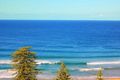 Property photo of 19 Warren Avenue Avoca Beach NSW 2251