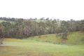 Property photo of 220 Westering Road Christmas Hills VIC 3775