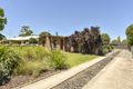 Property photo of 14 Davis Crescent Penola SA 5277