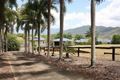 Property photo of 44 Golden Street Goldsborough QLD 4865