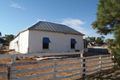 Property photo of 546 Third Street Yongala SA 5493