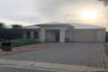 Property photo of 32 Chardonnay Boulevard Reynella SA 5161