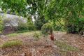 Property photo of 42 Nanthea Terrace Unley Park SA 5061
