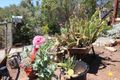 Property photo of 16 Queen Street Burra SA 5417