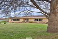 Property photo of 109 Burrows Street Mildura VIC 3500