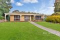Property photo of 15 Wirilda Avenue Surrey Downs SA 5126