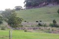 Property photo of 28 Tristania Street Bangalow NSW 2479