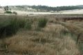 Property photo of 10 Centenary Drive Dodges Ferry TAS 7173