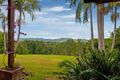 Property photo of 175 Moffatts Road Billinudgel NSW 2483