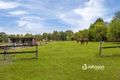Property photo of 2088 Beaudesert-Beenleigh Road Tamborine QLD 4270