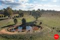 Property photo of 44 Gleesons Road Axe Creek VIC 3551