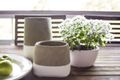 Property photo of 84/10 Pyrmont Bridge Road Camperdown NSW 2050