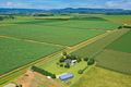 Property photo of 179 Favier Road Kairi QLD 4872