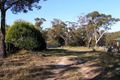 Property photo of 20 Dora Street Hill Top NSW 2575