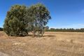 Property photo of LOT 113 Seventh Street Harvey WA 6220