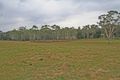 Property photo of 1450 Wombeyan Caves Road High Range NSW 2575