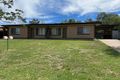 Property photo of 7 Condor Crescent Moree NSW 2400
