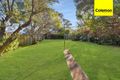 Property photo of 98 Minter Street Canterbury NSW 2193