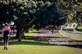 Property photo of 6A/105 Cook Road Centennial Park NSW 2021