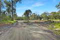 Property photo of 459 Stapylton Jacobs Well Road Alberton QLD 4207