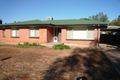 Property photo of 14 Drage Street Elizabeth Downs SA 5113