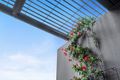 Property photo of 702/122 Ross Street Forest Lodge NSW 2037