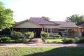 Property photo of 41 Thomas Avenue St Morris SA 5068
