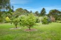 Property photo of 34 Young Street Flinders VIC 3929