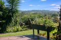 Property photo of 21 Curtawilla Street Banora Point NSW 2486