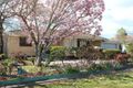 Property photo of 446 McDonald Road Lavington NSW 2641