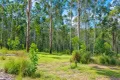 Property photo of LOT 1 Mud Flat Road Drake NSW 2469